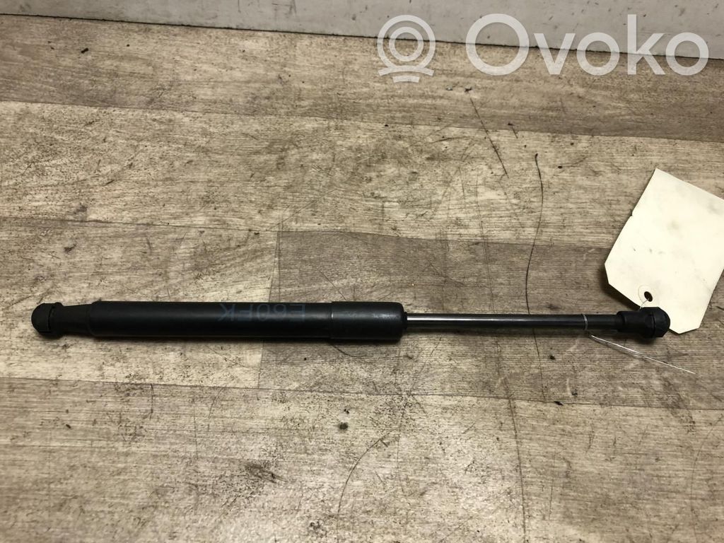 Front bonnet/hood damper/strut