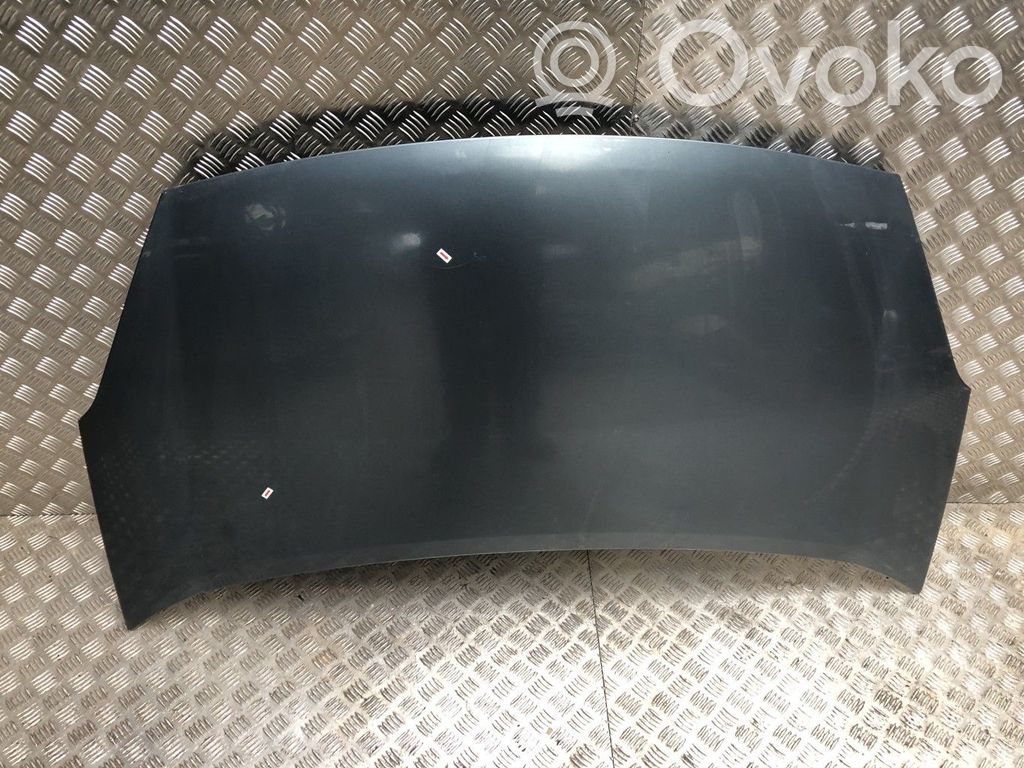 Vano motore/cofano   00007901P7,00007901P7