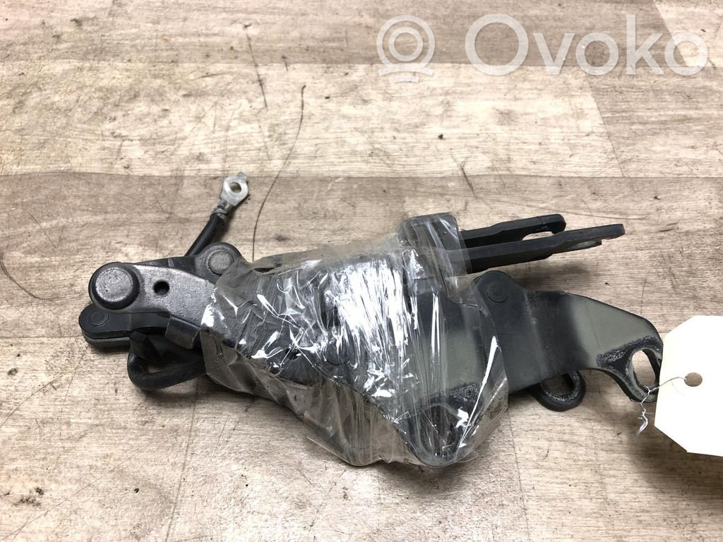 Cerniere del vano motore/cofano   41617210677,41617210677