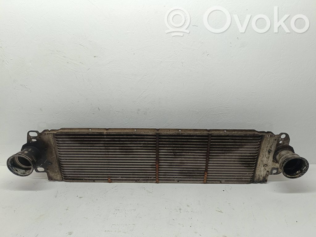 Volkswagen Transporter - Caravelle T5 Interkūlerio radiatorius 