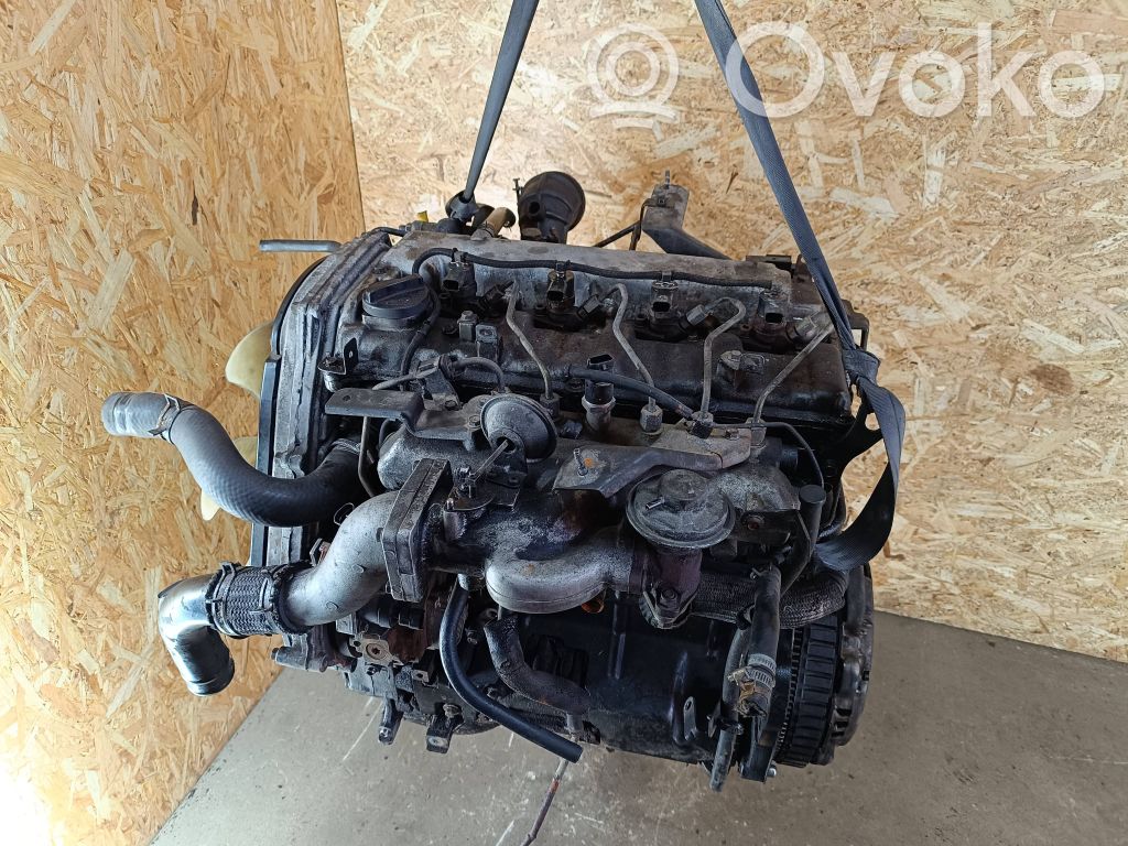 Engine   D4CB