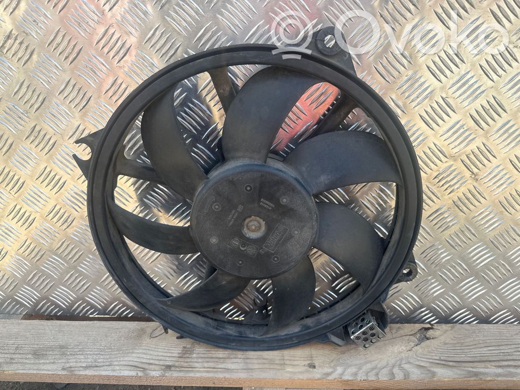 Elektryczny wentylator chłodnicy   214810898R