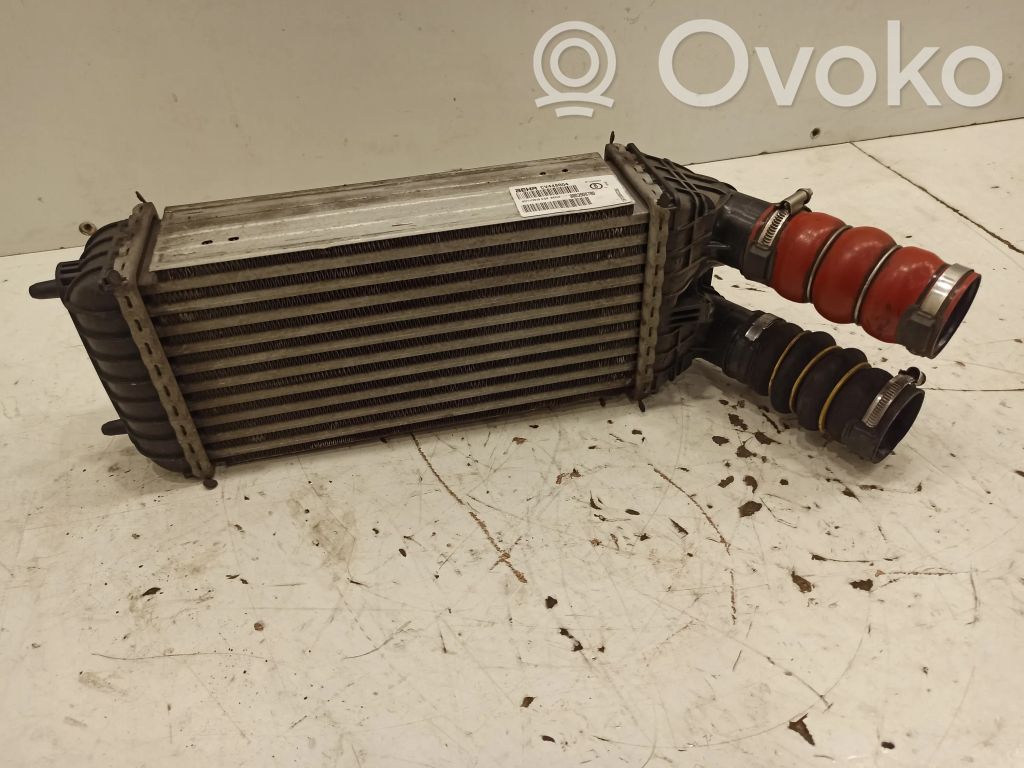 Interkūlerio radiatorius   9803900780