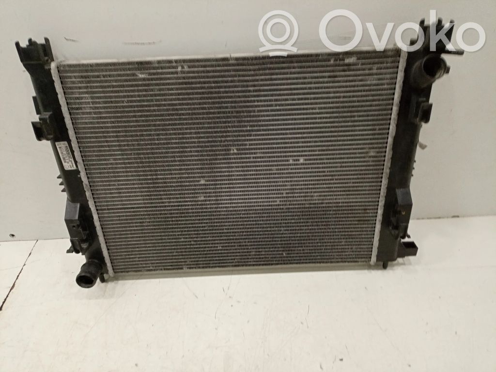 Coolant radiator   214100078R