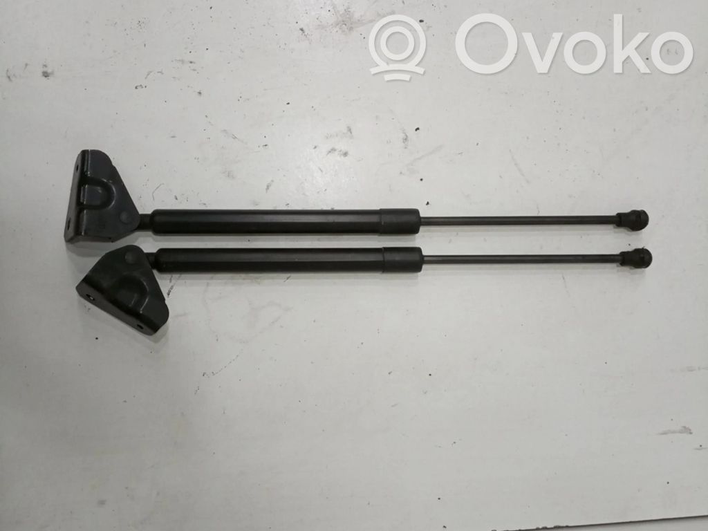 Tailgate/trunk strut/damper   9809821380