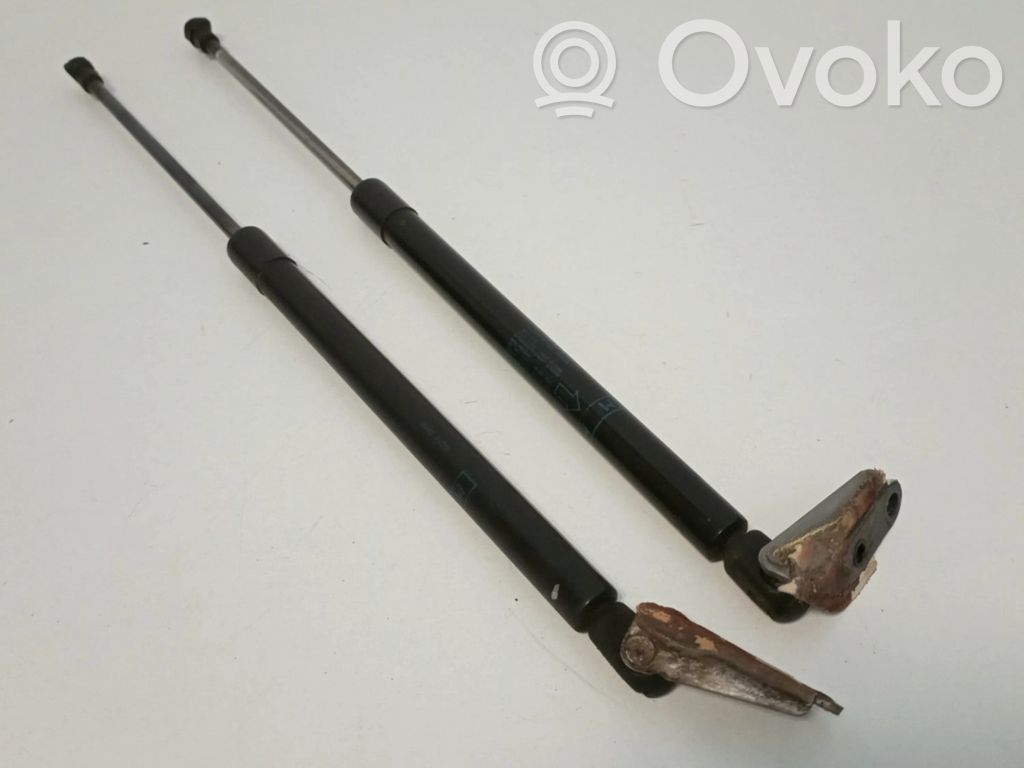 Tailgate/trunk strut/damper   90452AV700