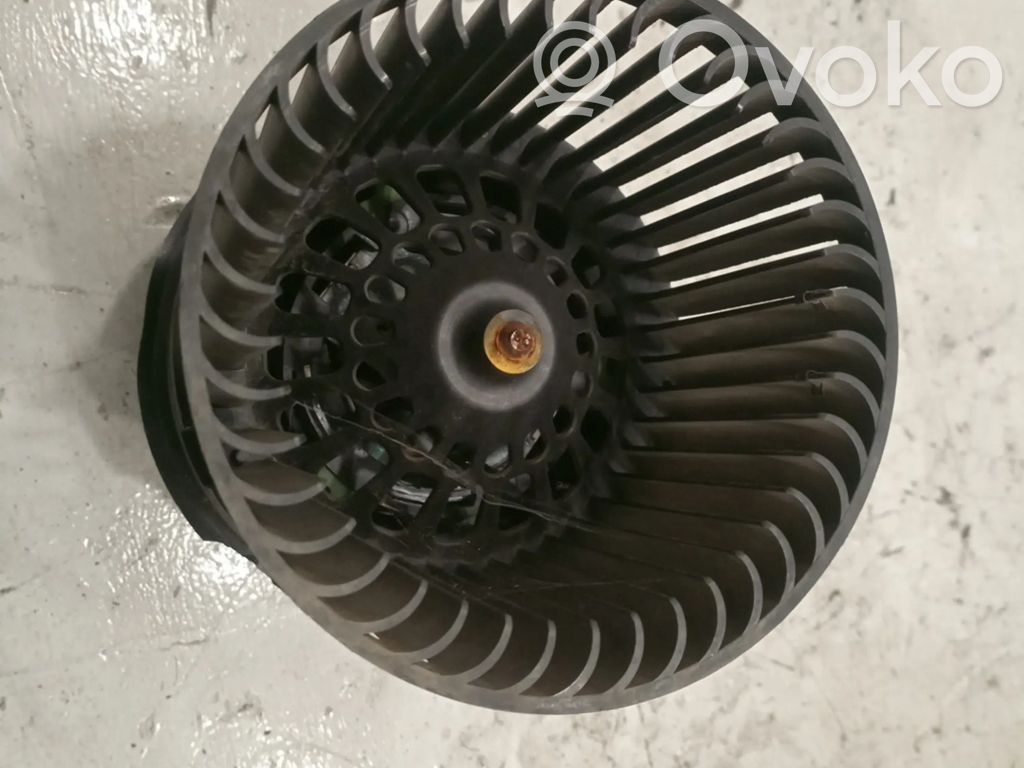 Pečiuko ventiliatorius/ putikas   T1013140A