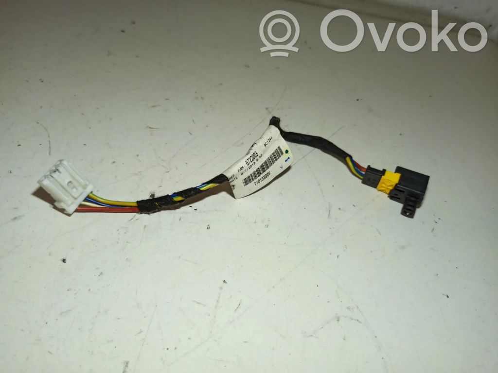 Other wiring loom   6722003