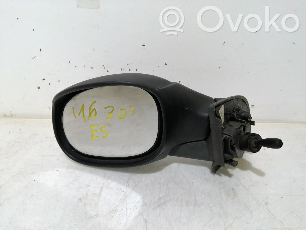 Veidrodėlis (elektra valdomas)   R202303348