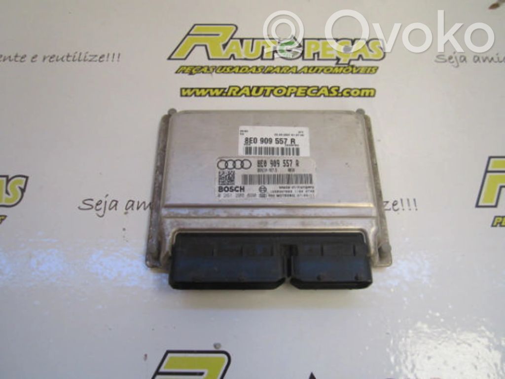 Engine control unit/module   0261208690,8E0909557R,R132390