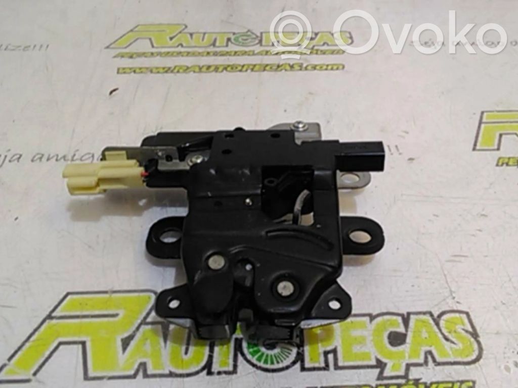 Tailgate exterior lock   R20202004