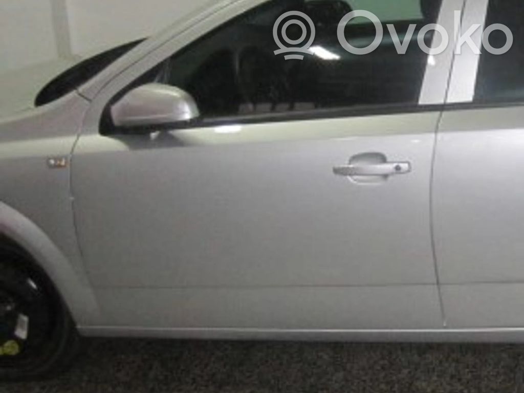 Drzwi przednie   R20160289