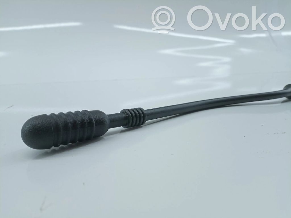 Variklis   7700871141