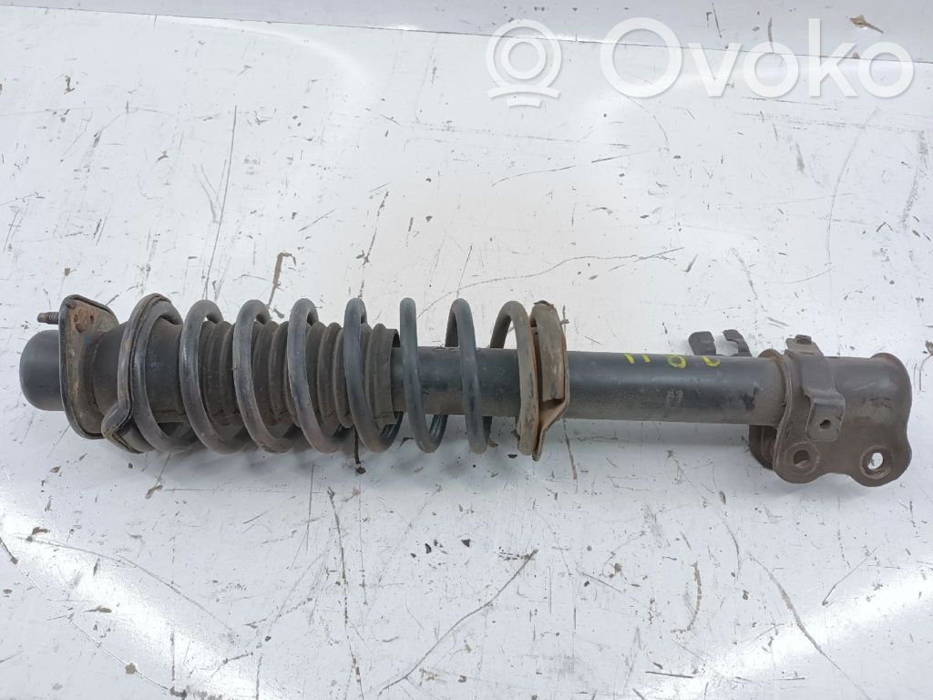 Stoßdämpfer vorne   R20164853