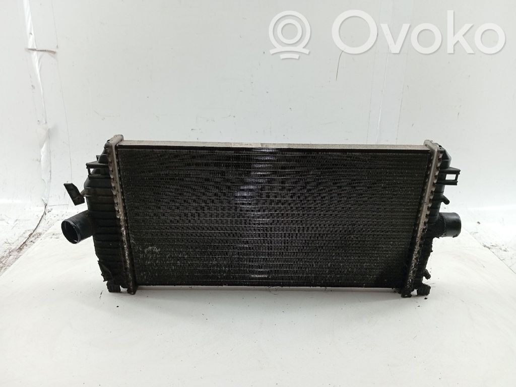Aušinimo skysčio radiatorius   130070200F
