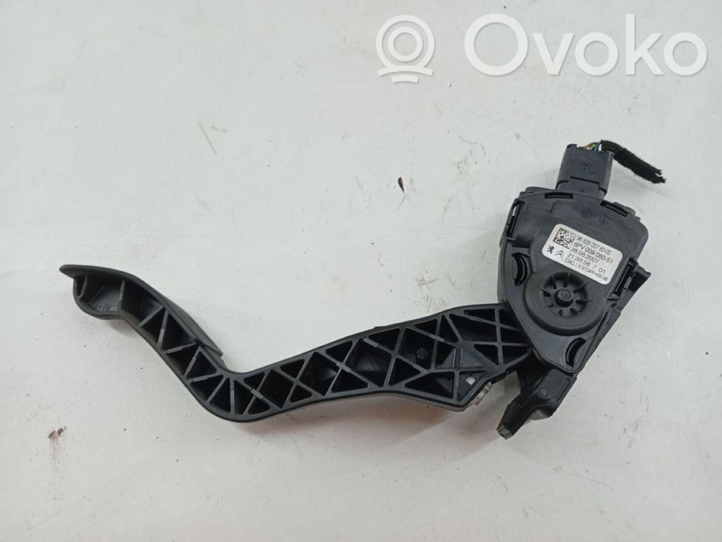 Pedal assembly   968280578000