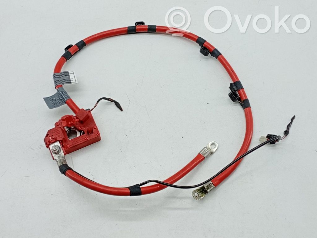 BMW 6 E63 E64 Other wiring loom 