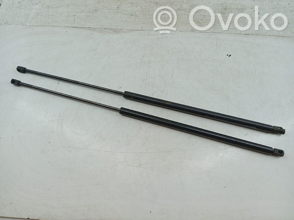 Tailgate/trunk strut/damper