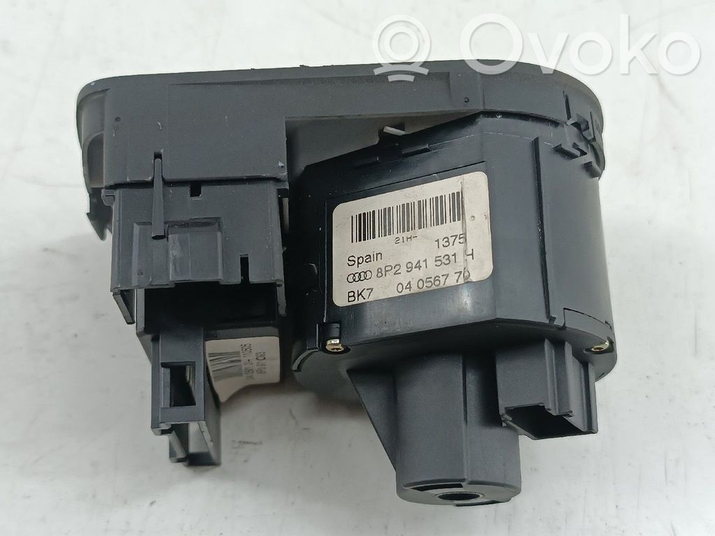 Other switches/knobs/shifts   8P2941531