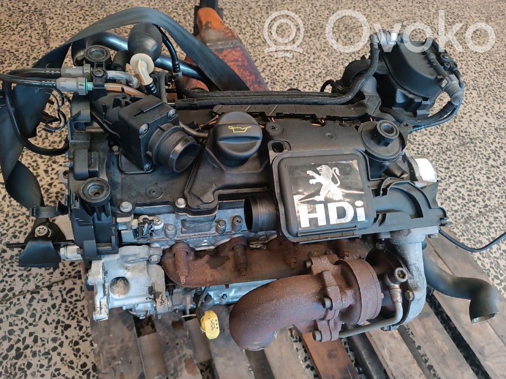 Variklis   8HZ,10FD62