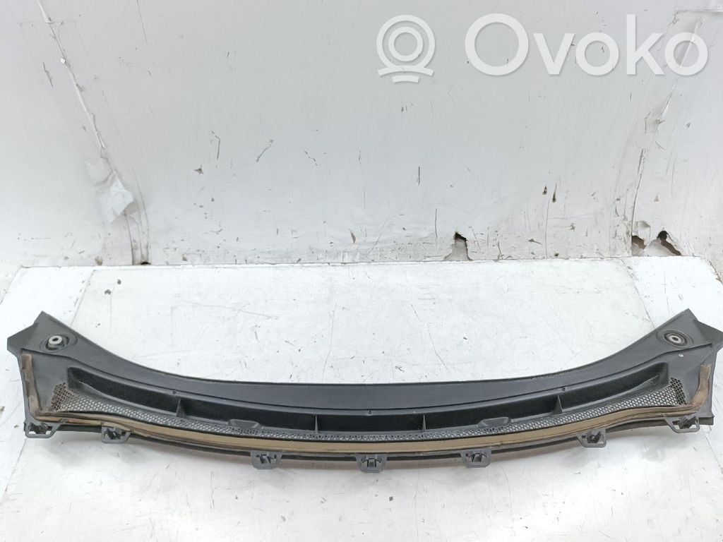 Wiper trim   39019109,333601545