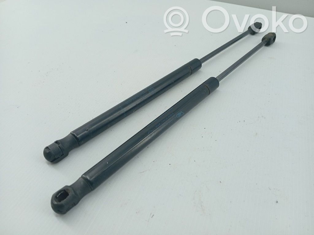Tailgate/trunk strut/damper   8200051750