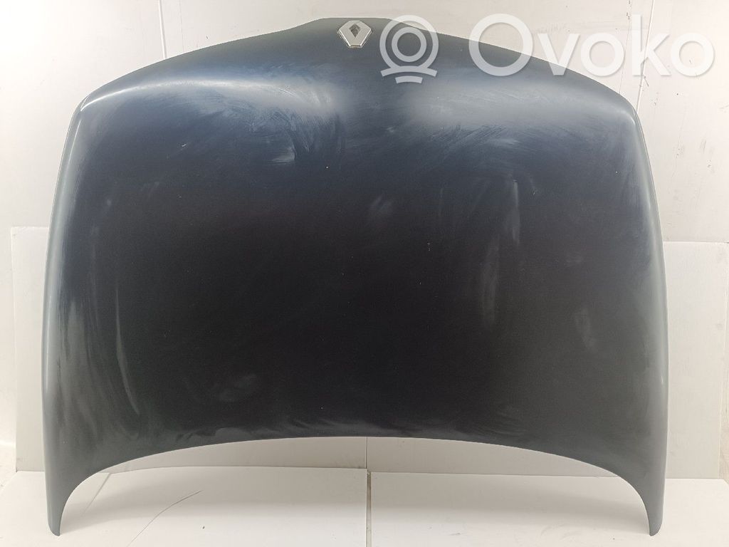 Motorhaube   PEQUENAS,MOSSAS