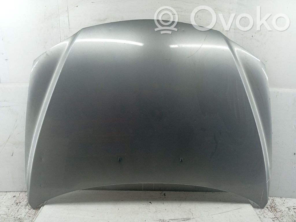 Motorhaube   COM,MOSSAS,RISCOS