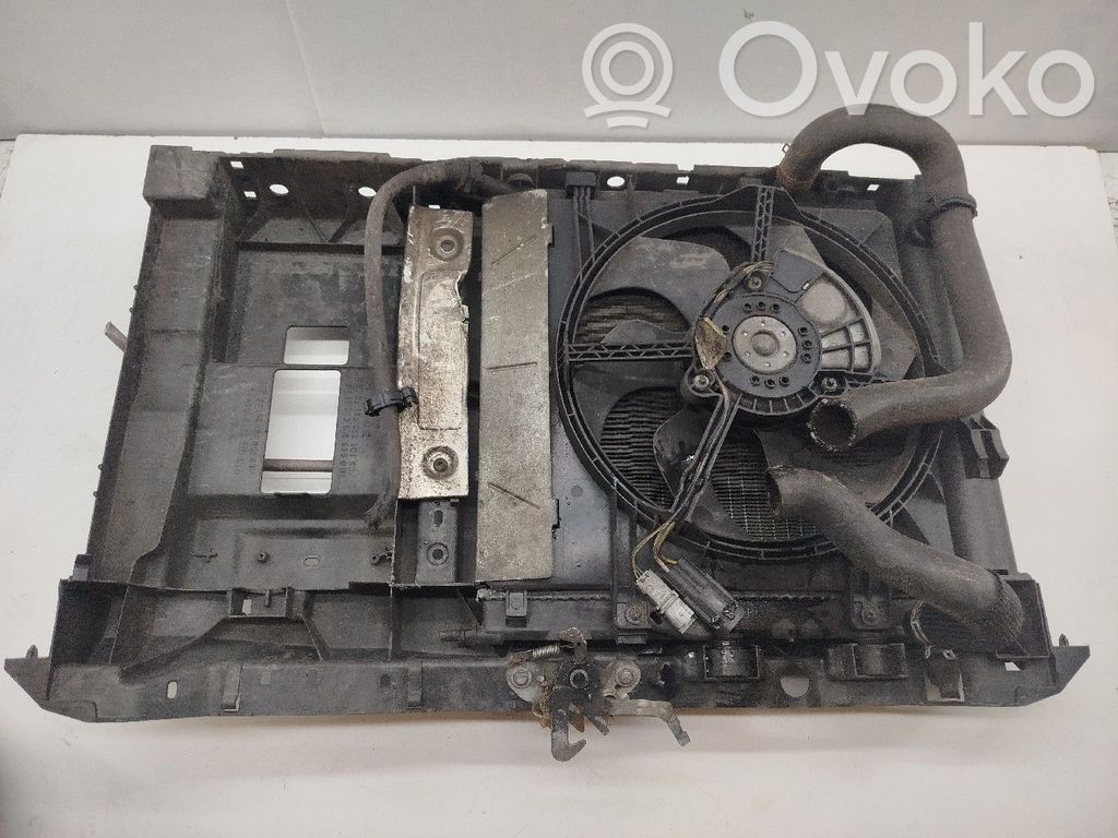 Citroen C3 Aušinimo skysčio radiatorius 