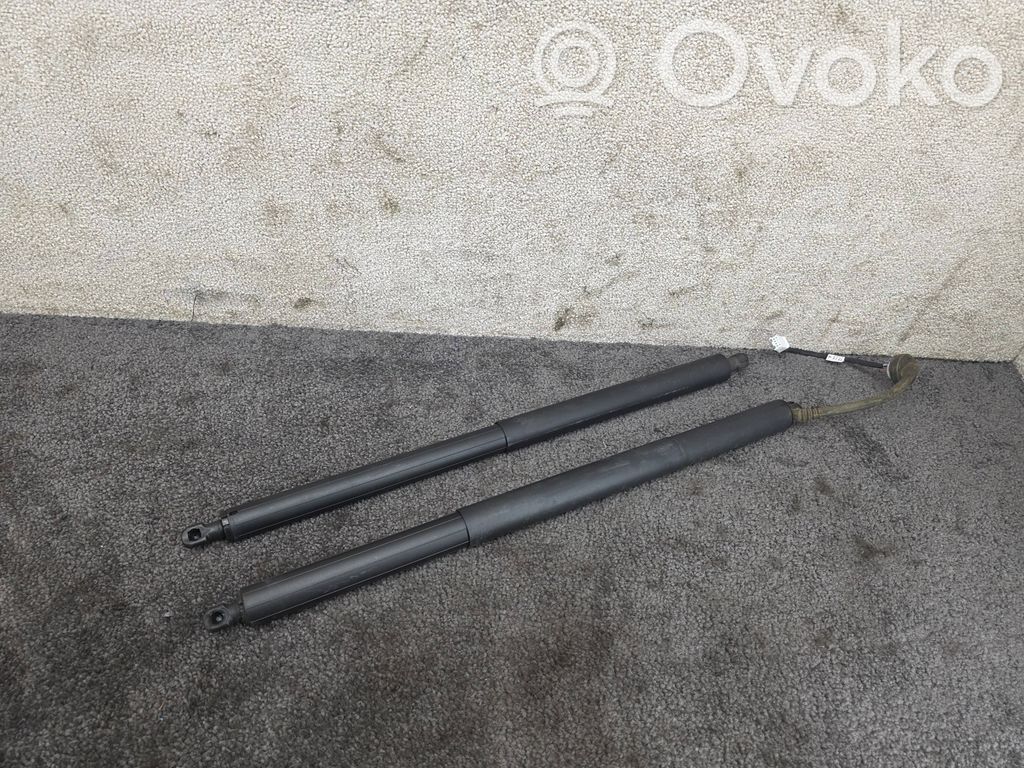 Tesla Model Y Tailgate/trunk strut/damper 
