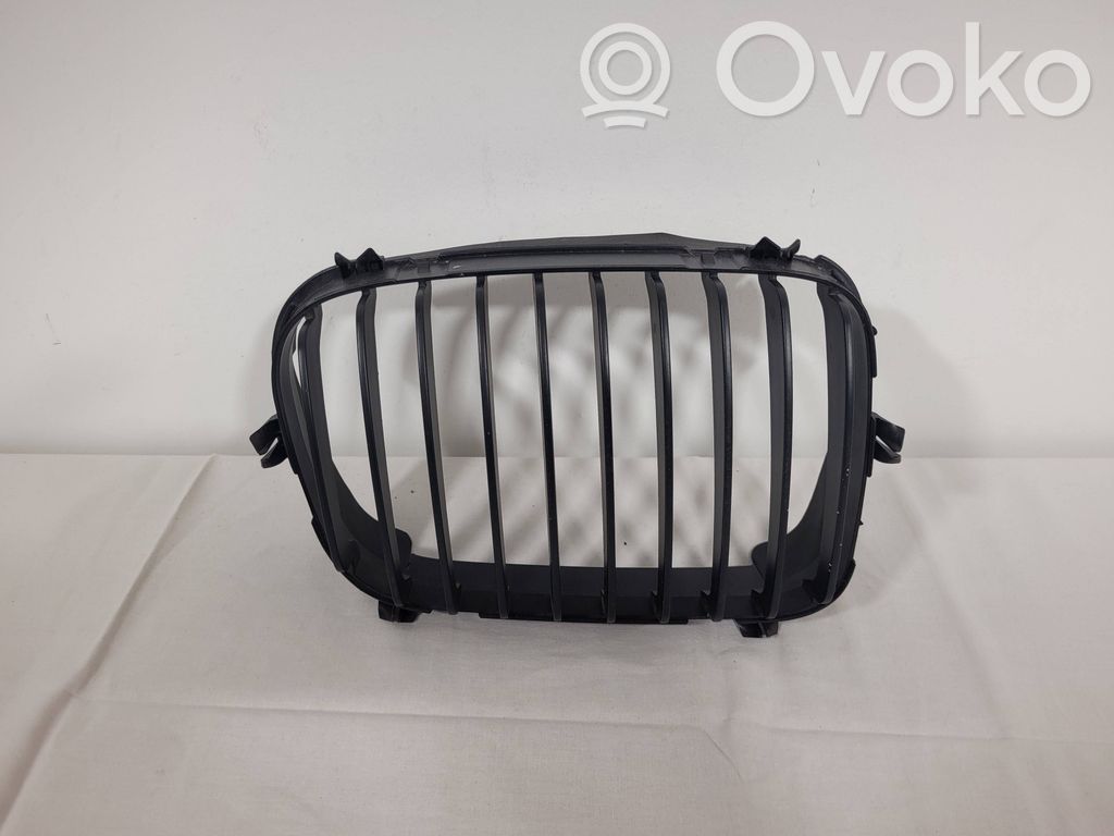 BMW 3 E46 Front grill 