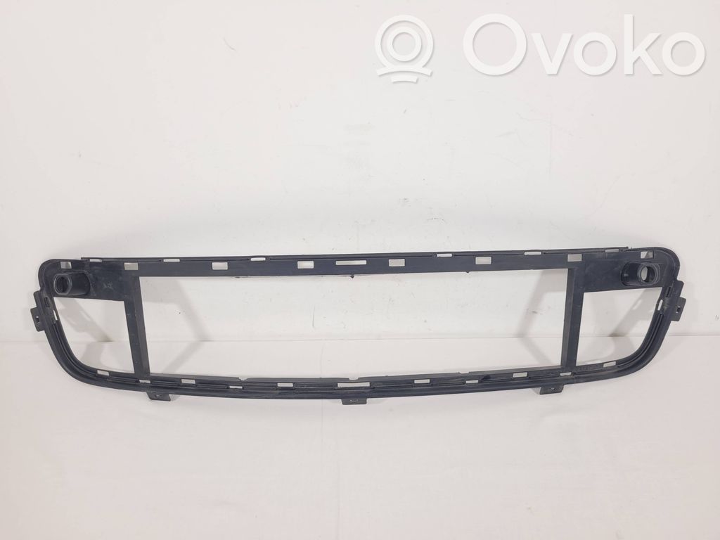 BMW X5 E70 Front bumper lower grill 