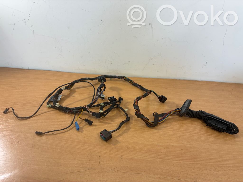 BMW X5 E53 Cableado de puerta trasera 