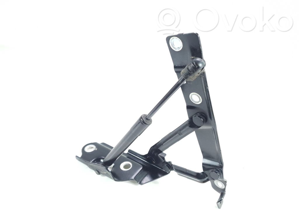 Dodge Challenger Tailgate/trunk/boot hinge 