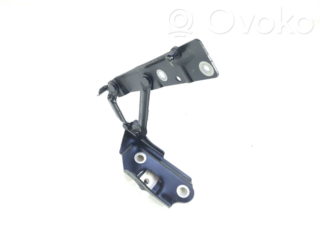 Tailgate/trunk/boot hinge   4589667AD