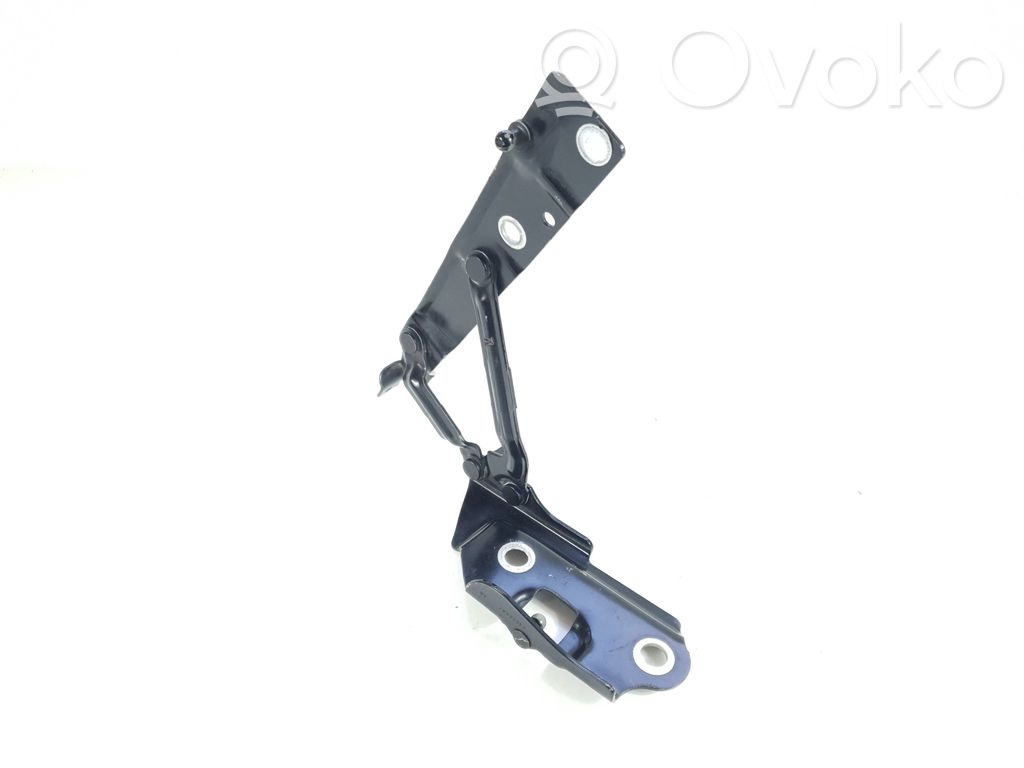 Dodge Challenger Tailgate/trunk/boot hinge 