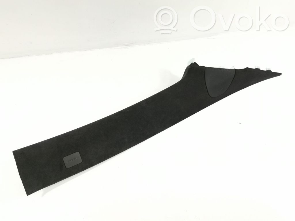 Tesla Model S Otras molduras del borde/pilar 