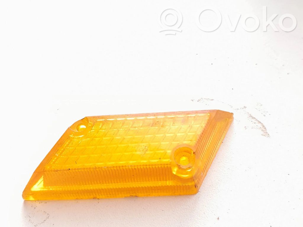 Front fender indicator light