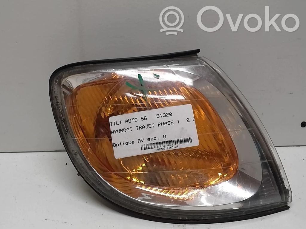 Hyundai Trajet Seitenblinker 