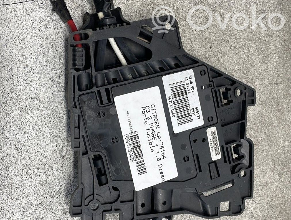 Fuse module   9675123880