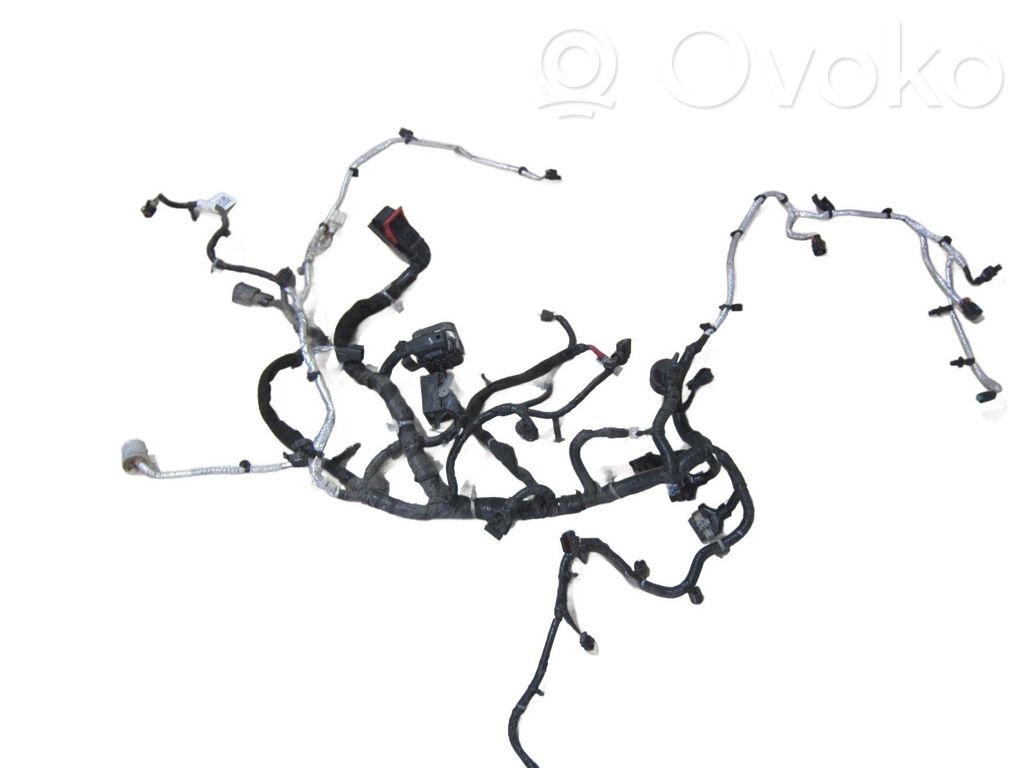 Front door wiring loom   WIAZPACSIL