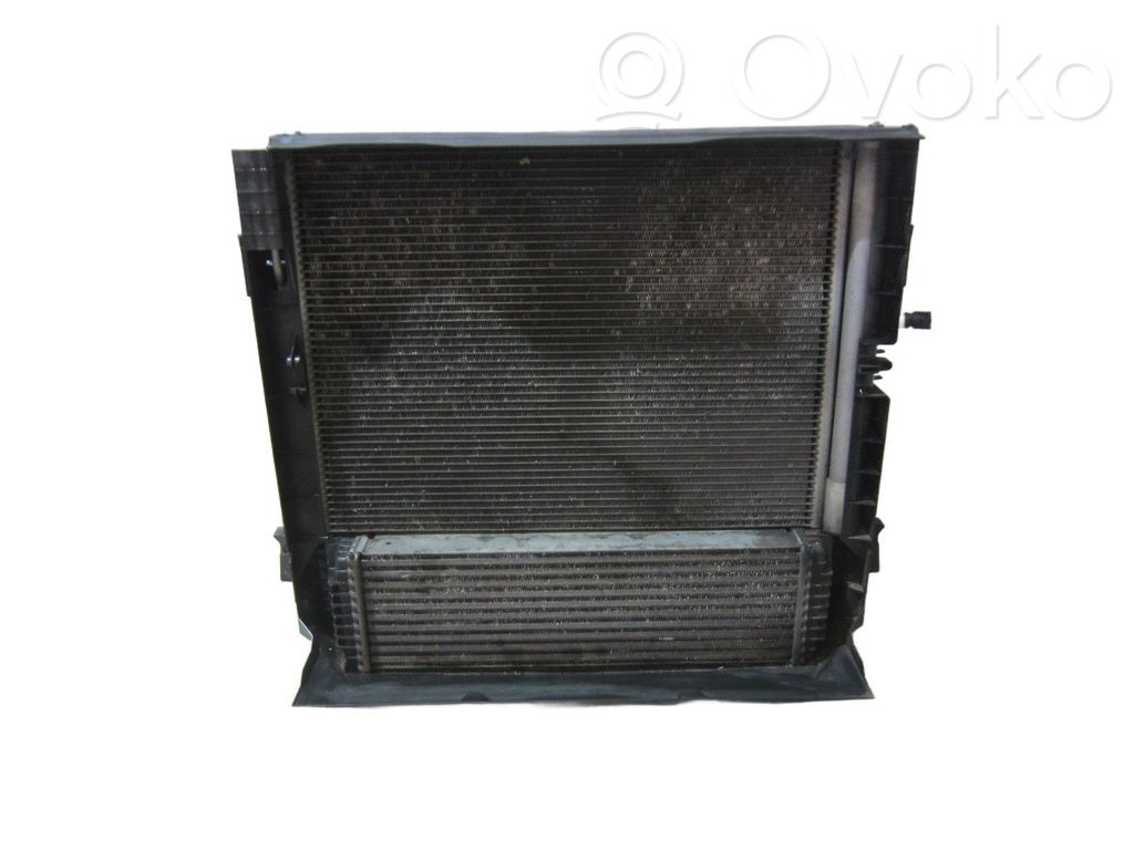 BMW X5 F15 Radiatore di raffreddamento 