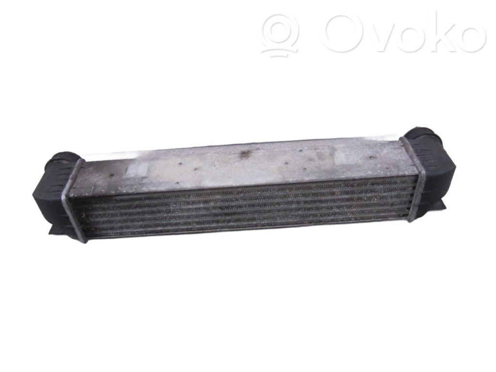 BMW 5 E39 Starpdzesētāja radiators 