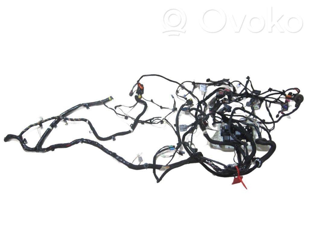 Cableado de puerta delantera   LEWY