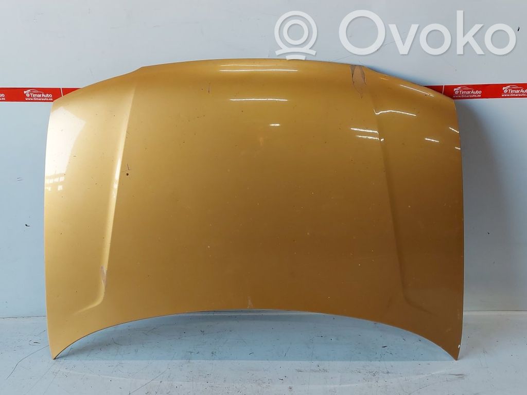 Engine bonnet/hood
