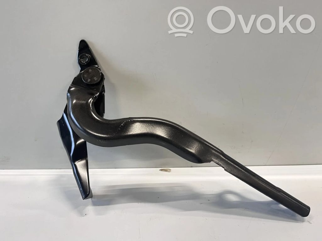Citroen C-Elysée Vyris (-iai) variklio dangčio 