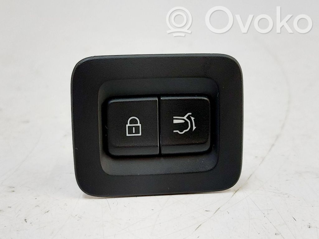 Tailgate opening switch   VA5866660,VA5866660