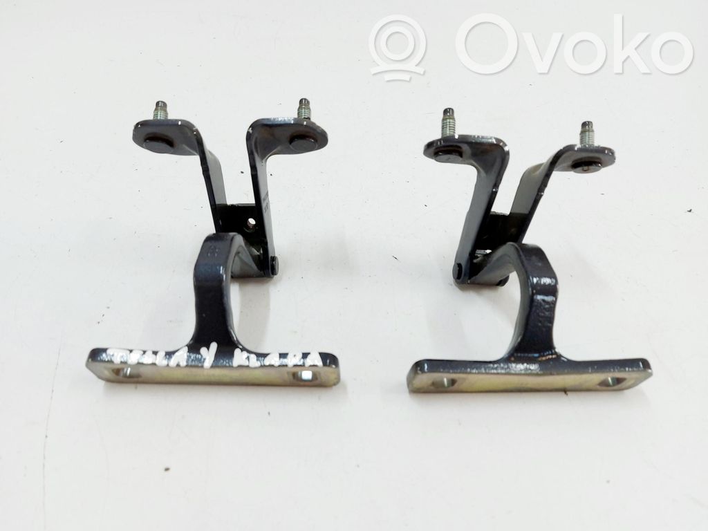 Tesla Model Y Tailgate/trunk/boot hinge 