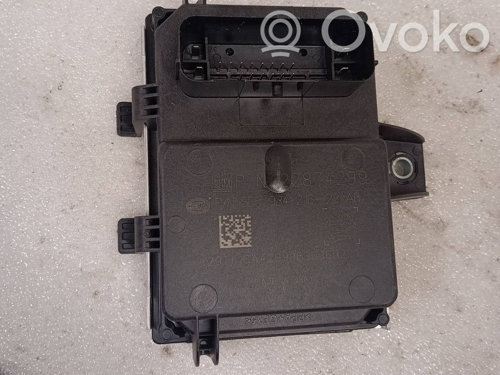Chevrolet Volt I Fuel injection pump control unit/module 