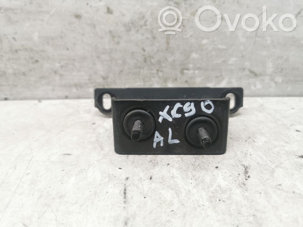 Tailgate/trunk/boot hinge   9483797